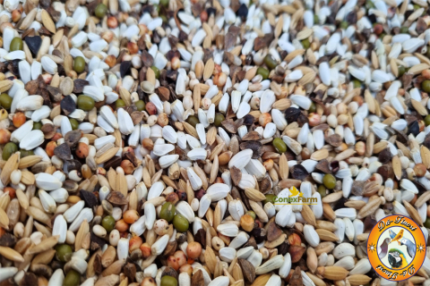 Hrană păsări - Da-Fincsi amestec premium de seminte pentru germinat 1 kg