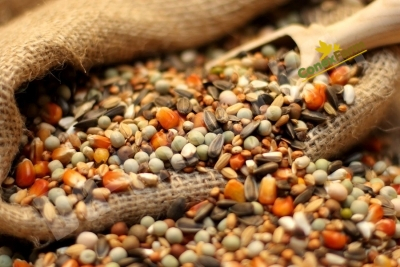 Hrană păsări - Da-Fincsi hrană de porumbei cu cioc scurt - 3 kg