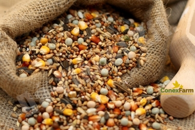 Hrană păsări - Da-Fincsi hrană de porumbei junior - 20 kg