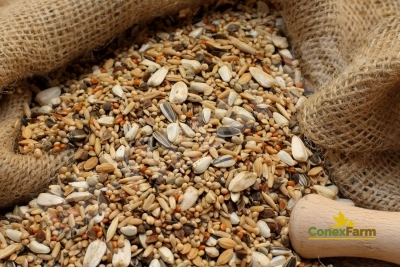 Hrană păsări - Da-Fincsi hrana de reproducere pentru papagali Pitici 3 kg