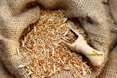 Hrană păsări - Da-Fincsi hrană pentru Neophema 3 kg