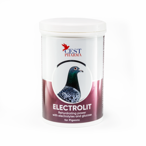 Suplimente Cest Pharma - Electrolit - 600g