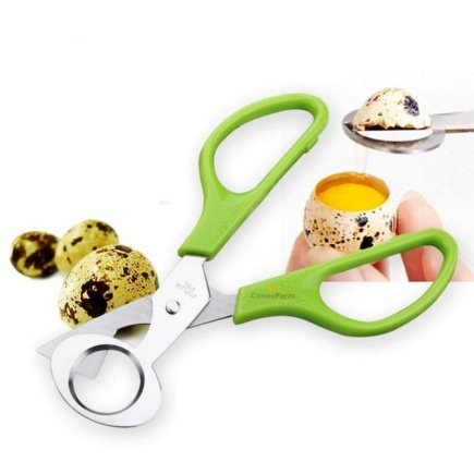 Accesorii - Foarfecă pentru tăiat ouă de prepeliţă