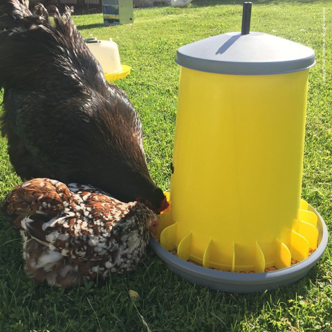 Hrănitoare din plastic cu grilă pentru prevenirea risipei 20 l (galben) cu picior [4]