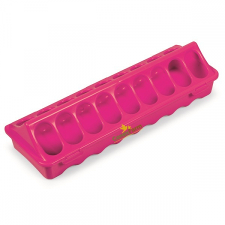 Hrănitori - Hrănitoare pentru pui si prepeliță 30cm - pink