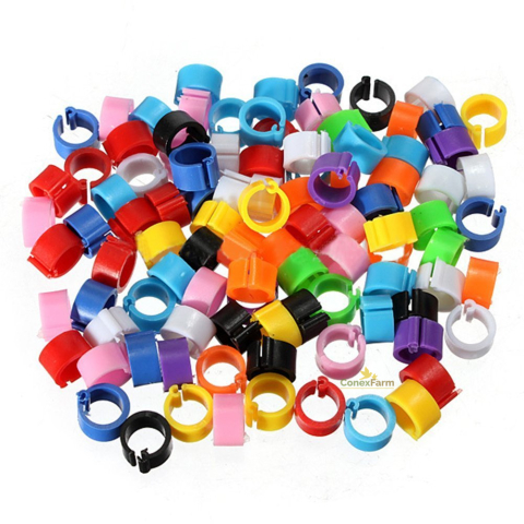 Accesorii - Inele(cleme) recunoaștere Ø 8x5 mm/ 100 buc