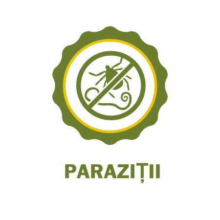 Oțet de mere  8% [3]
