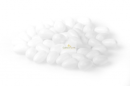 Accesorii - Ouă  papagali false  din PVC