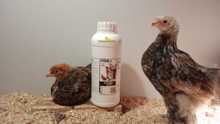 OviCalgen Birds [1]