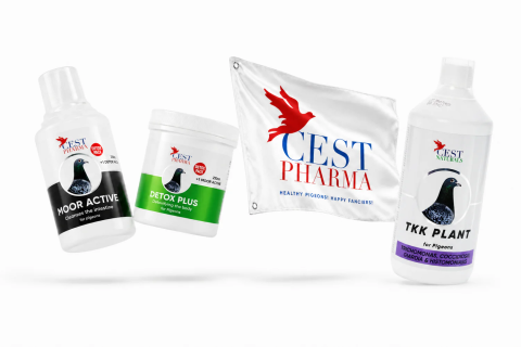 Suplimente Cest Pharma - Pachetul “Marea Detoxifiere"