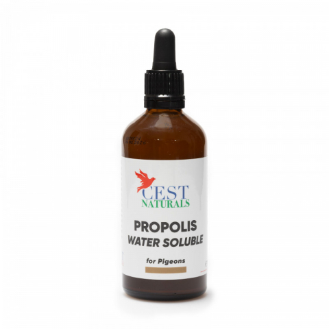 Suplimente - Propolis Solubil in Apa