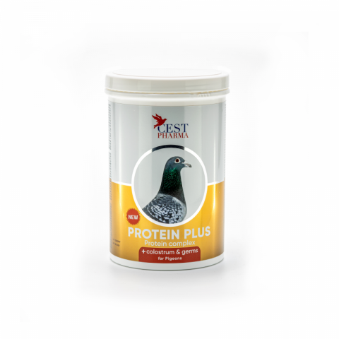 Porumbei - Protein Plus - 600g