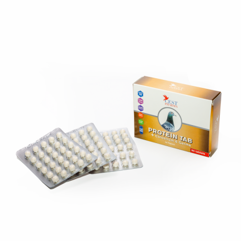 Protein Tab 3x30 [1]