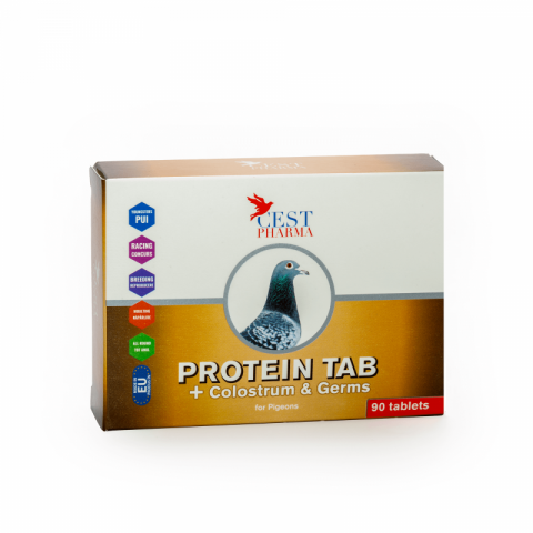 Suplimente Cest Pharma - Protein Tab 3x30