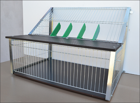Sputnic 80 cm [2]