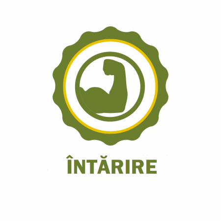 Vitamixor E + Se Birds 100 ml [1]