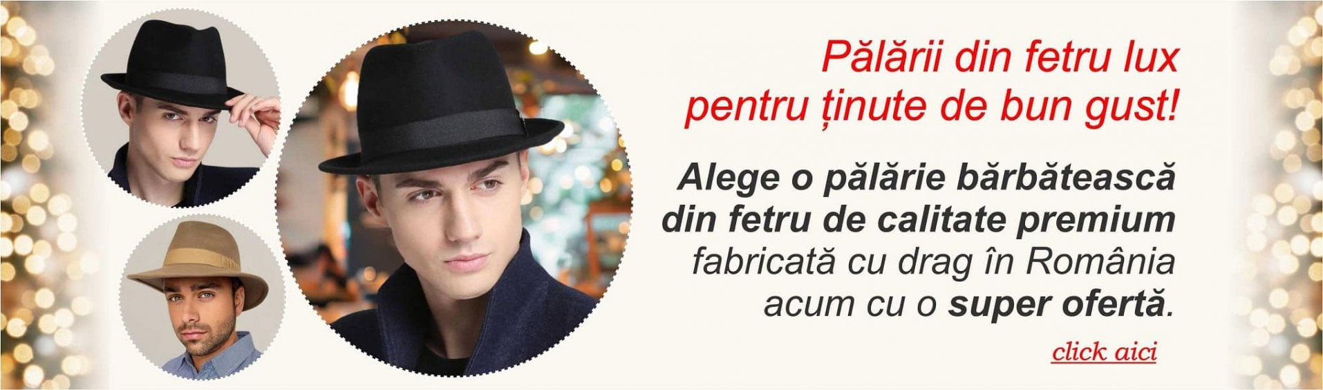 Palarii barbati din fetru lux