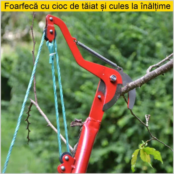 Set 1 foarfeca cu cioc de taiat la inaltime + 1 fierastrau pliabil [4]