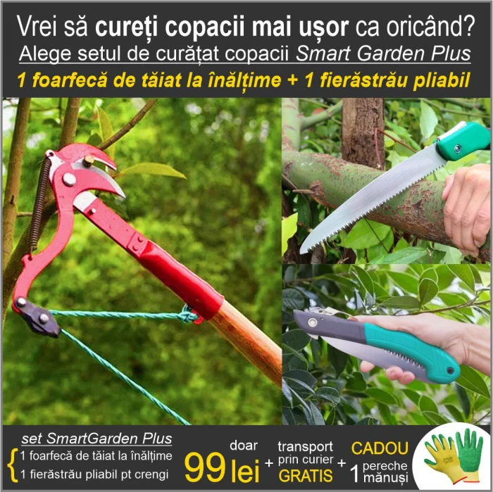 CASA SI GRADINA - Set 1 foarfeca cu cioc de taiat la inaltime + 1 fierastrau pliabil