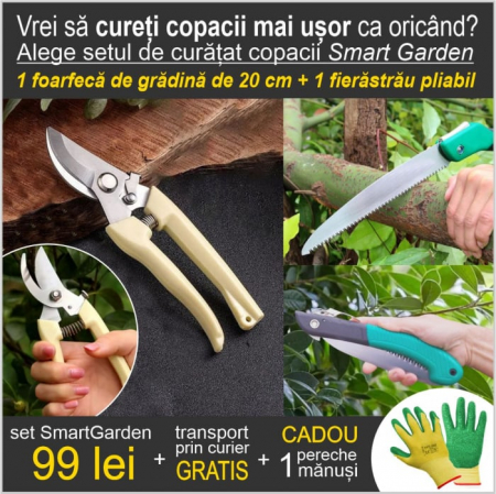 CASA SI GRADINA - Set 1 foarfeca de gradina de 20 cm + 1 fierastrau pliabil