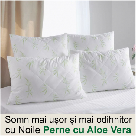 Set 2 perne cu Aloe Vera (2 buc 50*70 cm la 149 lei  sau 2 buc 70*70 cm la 159 lei) [1]