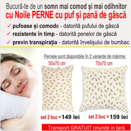 CASA SI GRADINA - Set 2 perne puf de gasca (2 buc 50*70 cm la 149 lei  sau 2 buc 70*70 cm la 159 lei)