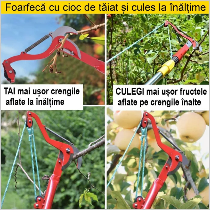 Foarfeca cu cioc de taiat la inaltime, cu lame de otel, arc si scripete [1]