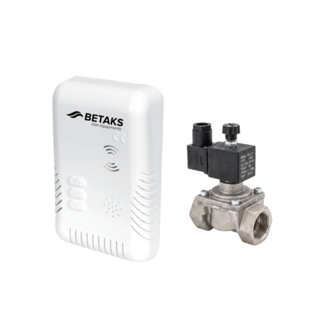 Detectoare - Detector 3/4 cu electrovalva de 220 - Betaks