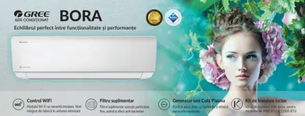 Aer conditionat