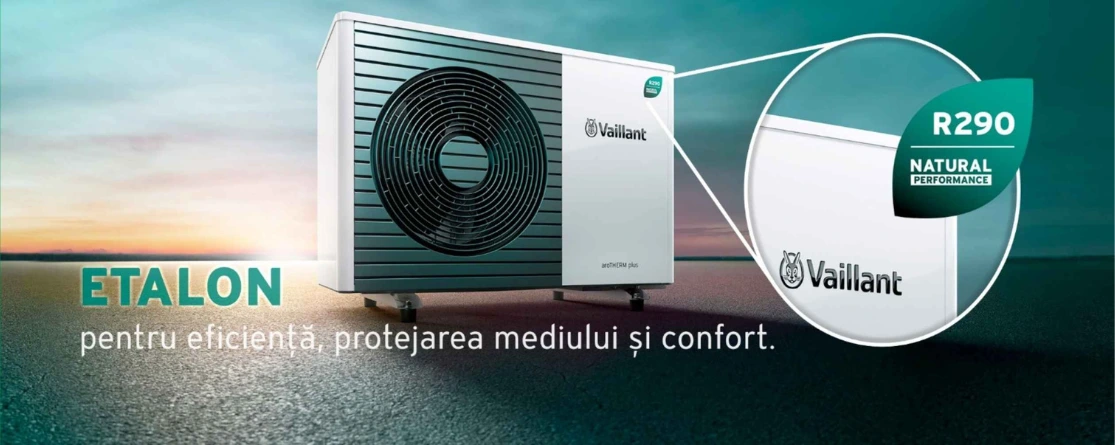 Vaillant