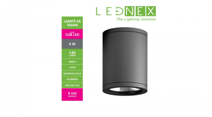 Lampa de tavan Led, rotunda, 6W, 145 LM, IP54, Lednex [5]