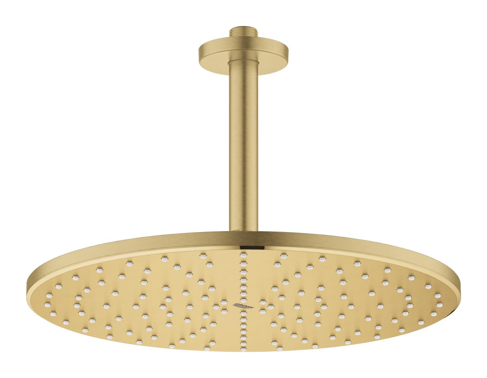 Dus fix Grohe Rainshower 310, montare pe tavan, rotund, 1 jet, 142 mm, auriu mat [4]