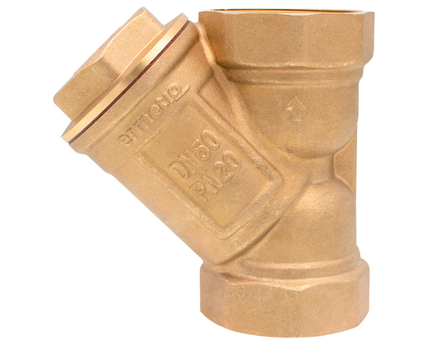 Filtru apa Y, 2 tol, Everpro [3]