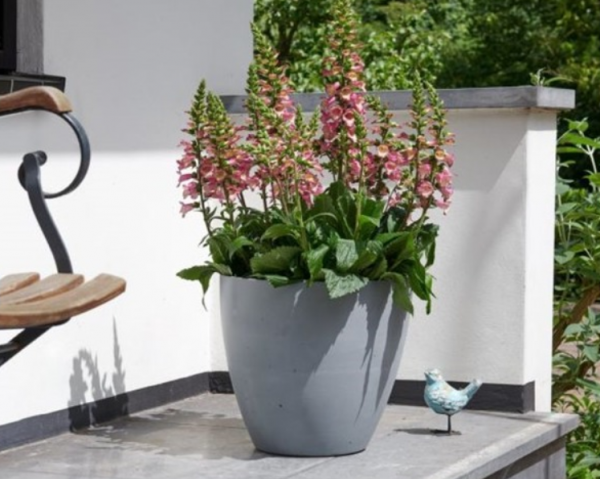Ghiveci rotund, gri, 40 cm., Keter Beton L [1]