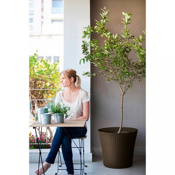 Ghiveci conic, maro, 56.6 litri, Keter Conic [2]