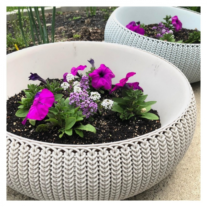 Ghiveci bej, 22.8 litri, Keter Cozies L [2]