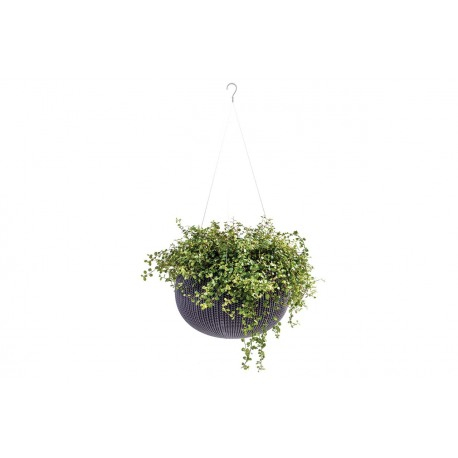 Ghiveci rotund suspendabil, maro, 3.2 litri, Keter Cozies S [4]