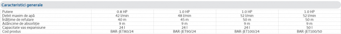 Hidrofor 1.0 HP, 48 L/min, 24 L vas, Everpro Jet [2]