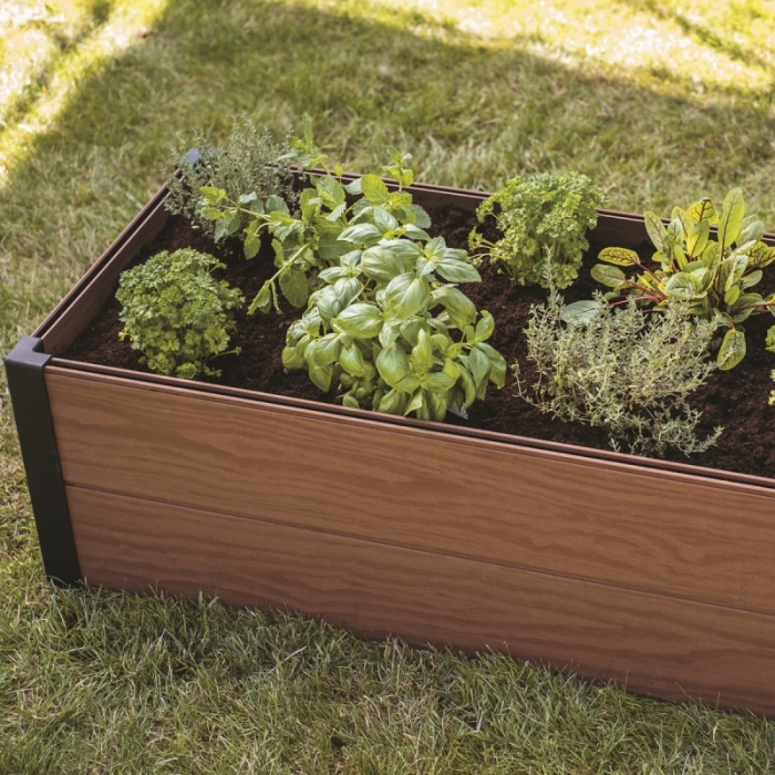 Jardiniera maro, Keter Maple [2]