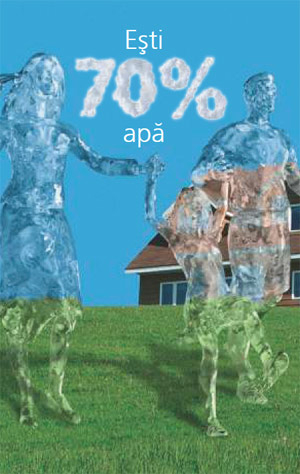 REZERVOR TAMPON APA CU POMPA SUBMERSIBILA SISTEM 500 FSP - VALROM GAMA aquaPUR [2]