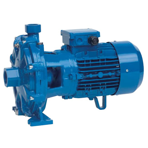 Pompa centrifuga, 4 Kw, 88 mCA, Speroni 2CM 32/190 A [1]