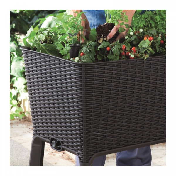 Ghiveci alungit, gri, 120 L, Keter Easy Grow [7]