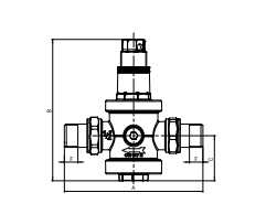 Reductor presiune 2"  FE cu OL, IVAR [2]