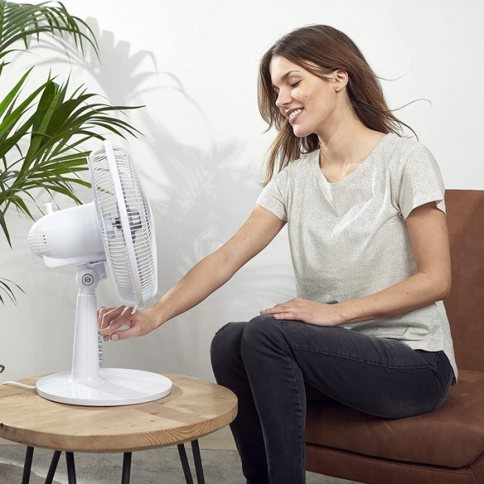 Ventilator Birou Black+Decker BXEFD40E 40 W [8]