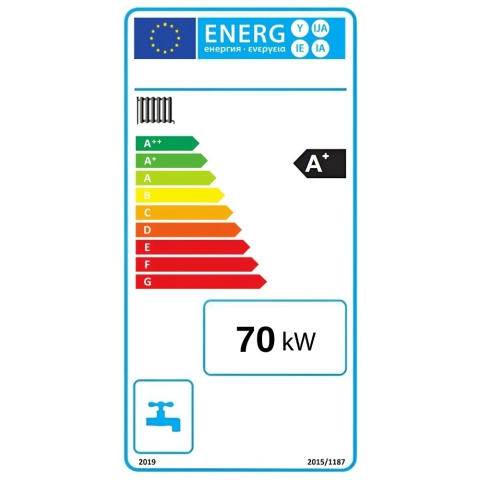 Cazan pe lemne Termax 70 kW pentru 420 mp cu manta de apa 175 l [3]