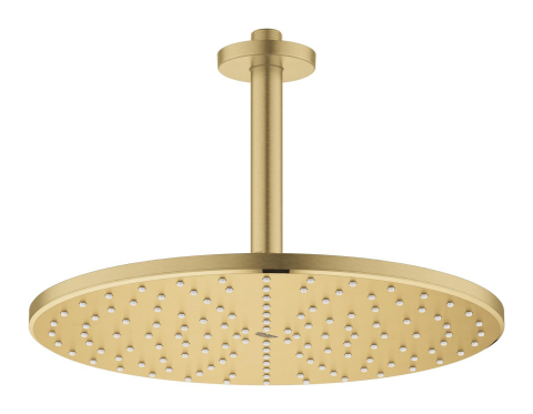 Dus fix Grohe Rainshower 310, montare pe tavan, rotund, 1 jet, 142 mm, auriu mat [3]