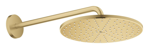 Dus fix Grohe Rainshower 310 Mono palarie de dus set 422 mm 9, 5 l, montare pe perete, rotund, 1 jet, brat 422 mm, sistem anti-calcar, auriu mat [3]