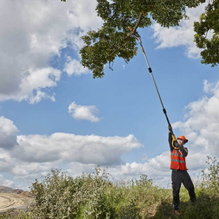 Fierastrau cu lant tija extensibila fara acc DeWalt [3]