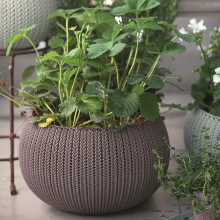 Ghiveci violet suspendat, Keter Cozies S 3.2 L [2]