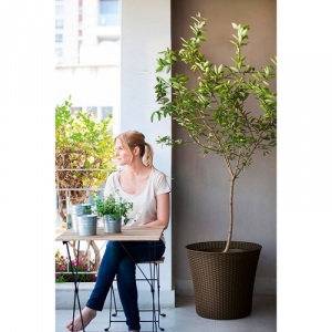 Ghiveci conic, maro, 56.6 litri, Keter Conic [1]